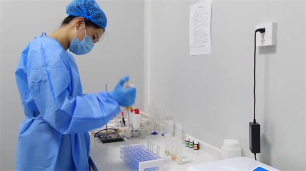 东营区净菜工厂日产能达30吨，科技赋能保障市民“菜篮子”供应