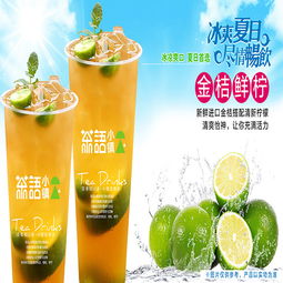 茶语小镇 优质饮茶产品与加盟管理全解析